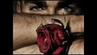 Akcent_I'm Sorry...!_videoclip creat de Lilly Vizante