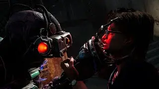 Dbd Swf