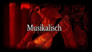 MUSIK FÜR DIE OHREN