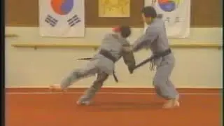 Hanmudo demo by the Great Grandmaster Dr. Kimm He-Young Kimm