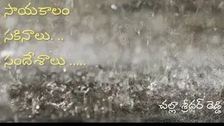 సాయంకాలం,సకినాలు,సందేశాలు | సకినాలు రేపిన చక్కటి ఆలోచనలు |Challa Sridhar Reddy