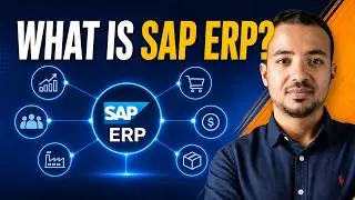 1: Meaning of SAP ERP and SAP Consultant