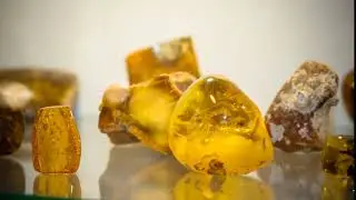 Калининградская область 4 зарисовки