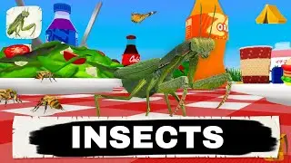 4DKid Explorer: insects Knbmedia HD Android Gameplay 2024 Game For Kids