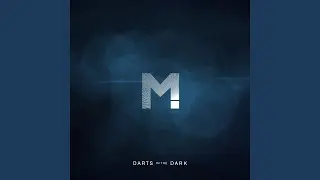 Darts In The Dark