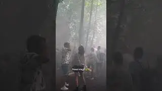 Forest Rave