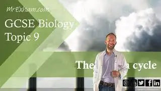 The Carbon Cycle - GCSE Biology (9-1) - 9.13