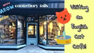 Visiting Canterbury Tails: an English cat cafe