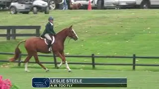 Winning Round: Leslie Steele and A.W. Too Fly