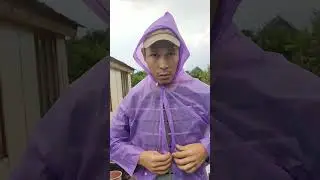 17 августа 2024 г.