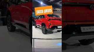 MINI LAMBORGHINI URUS🔥#shorts TATA CURVV - AUTO XPERT