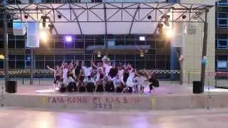 Артек. 9 туротряд . Loreen – Euphoria