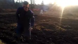 Пивная дробина : способ применения.