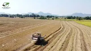 advanced combine for harvesting rice plants