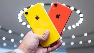 iphone xr в 2020