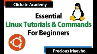Essential Linux Commands | Basic Linux Tutorials for Beginners