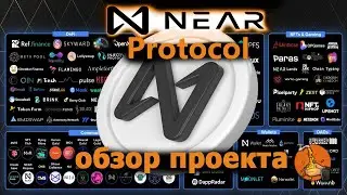 Near Protocol что такое? /Обзор проекта