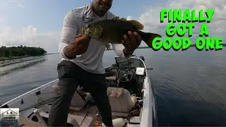 Smallmouth bass hammered the Ned rig
