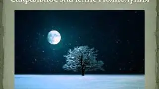 Луна Волка 2015