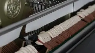Franz Schubert & Franz Liszt - Erlkönig (S. 558, No. 4) - Played by Canberk Eriş