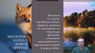 Fokus - конструктор онлайн презентаций от Студии Артемия Лебедева
