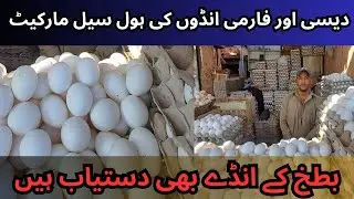 Duck Egg | Farm & Desi Egg Wholesale Price in Karachi | Egg Wholesale Market in Karachi 2023