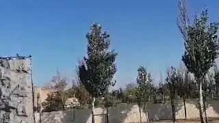 Самокат