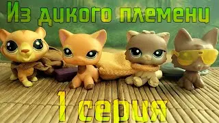 LPS Из дикого племени 1 серия