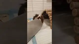 #cute 💕💕💕💕💕💕