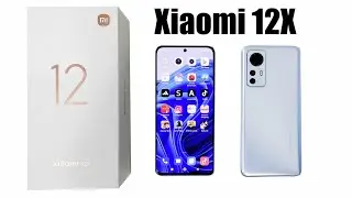 Xiaomi 12X 12/256