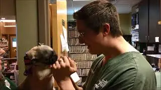 Aurora's Puppy Visit at Winslow Animal Hospital