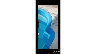 animales mas graciosos parte2