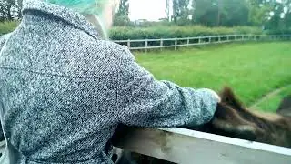 Магаренце в Лондон