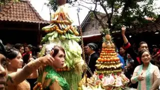 Buceng buah