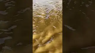 Февральская погода.Рыбалка