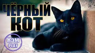 Кэм - Чёрный кот (Тамара Миансарова)