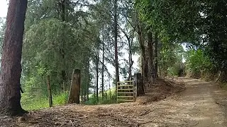 Así va nuestra Huerta. I-E mesitas, Aipe - Huila