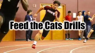 Feed the Cats Drills Explained | How to Teach Kids to Sprint - Part Two