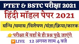 Hindi Model Paper 2021| Ptet classes for 2021| Bstc 2021