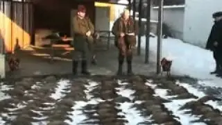 hon 23.1.2010.wmv