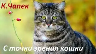 #148  К. Чапек С точки зрения кошки