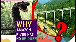 The amazon river has no Bridge ....why ?