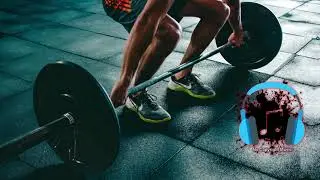 Scorpion - Spire Wolf / Trap, Motivational, Workout, Sport, Training, Running (No Copyright Music)