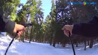 Лыжная покатушка в марте