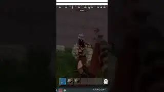 Rust Арена (vol.1)