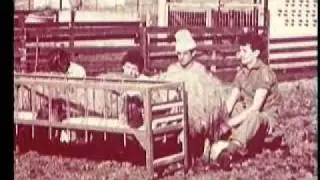 צבא העם-ארכיון המדינה Citizens Army