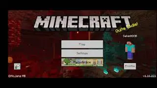 Minecraft but if I 