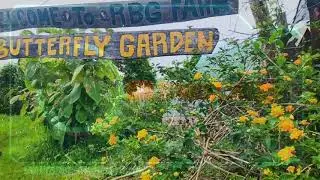 RBG Farm Butterfly Garden (New attaction in Nueva Ecija)