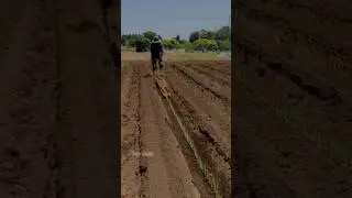 Amazing plantion machine 