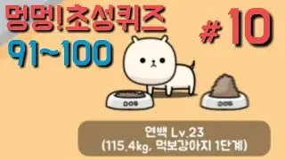[멍멍 초성퀴즈 #10] 91~100 먹보댕댕이 가쟈